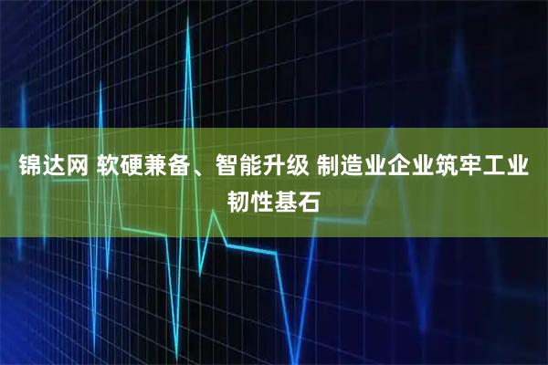 锦达网 软硬兼备、智能升级 制造业企业筑牢工业韧性基石