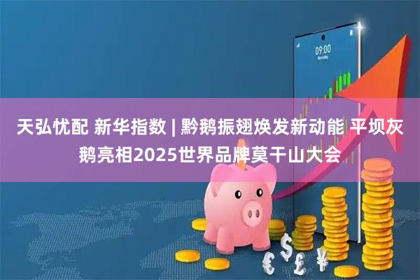 天弘忧配 新华指数 | 黔鹅振翅焕发新动能 平坝灰鹅亮相2025世界品牌莫干山大会