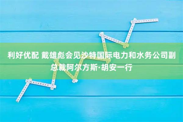 利好优配 戴雄彪会见沙特国际电力和水务公司副总裁阿尔方斯·胡安一行