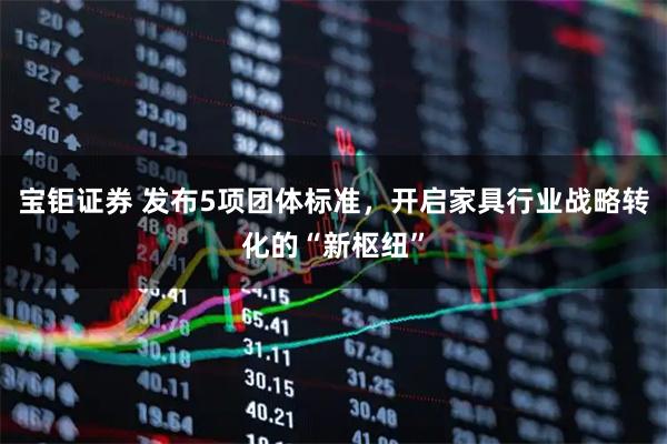 宝钜证券 发布5项团体标准，开启家具行业战略转化的“新枢纽”