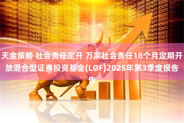 天金策略 社会责任定开 万家社会责任18个月定期开放混合型证券投资基金(LOF)2025年第3季度报告